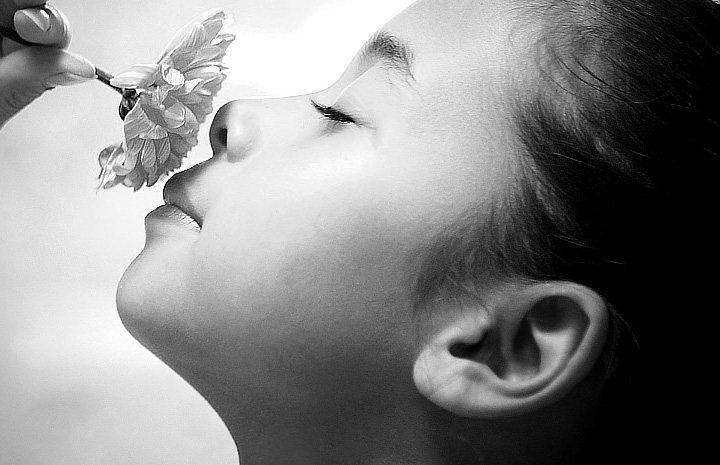 小黑ddos压力测试平台